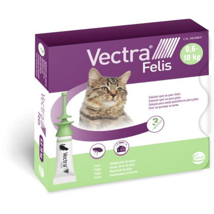 VECTRA Felis Αντιπαρασιτικές Αμπούλες 0,6-10 kg για γάτες συσκευασία 3 τεμαχίων ΡΩΤΗΣΤΕ ΓΙΑ ΤΟ ΠΡΟΙΟΝ ΣΤΟ 2177060500