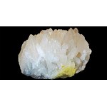 Baryta Carbonica Baryta Carbonica