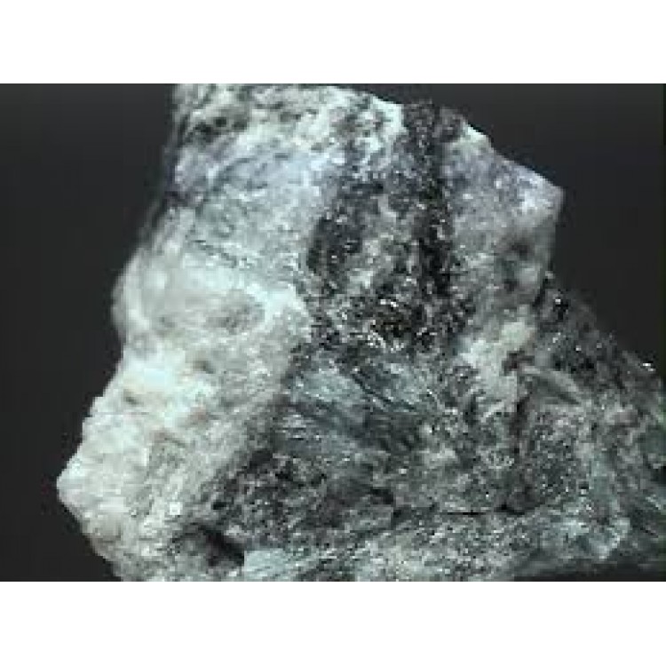 Calcarea Phosphorica Calcarea Phosphorica