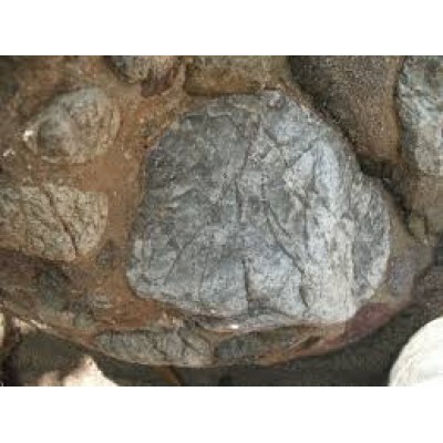 Kali Muriaticum