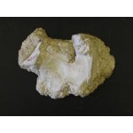 Magnesia Carbonica Magnesia Carbonica