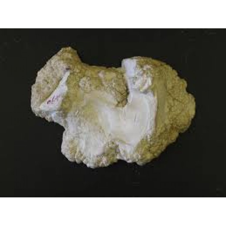 Magnesia Carbonica Magnesia Carbonica