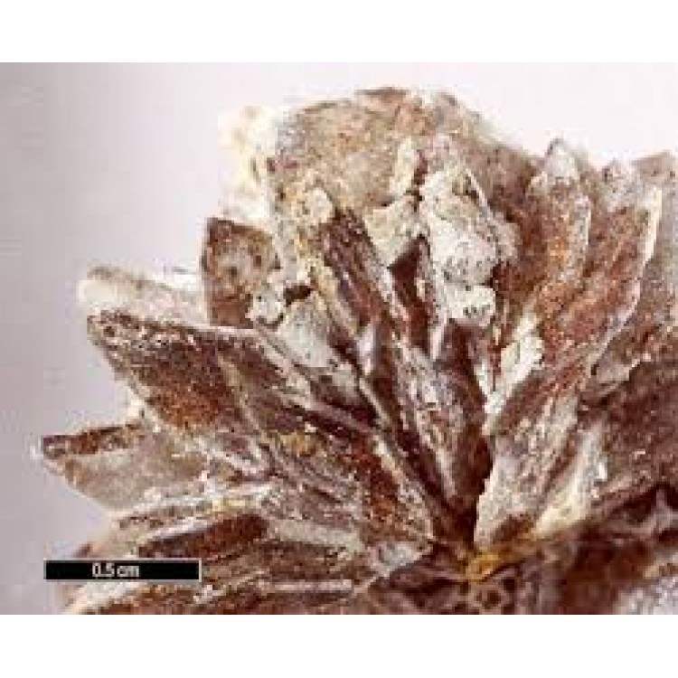 Natrum Sulphuricum Natrum Sulphuricum